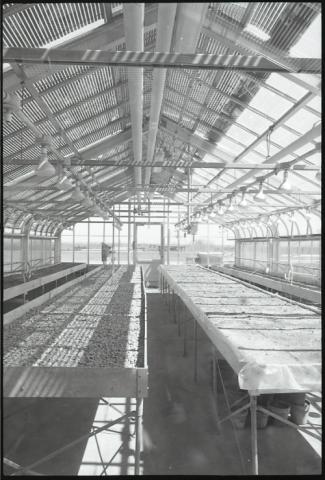Interior of empty greenhouse
