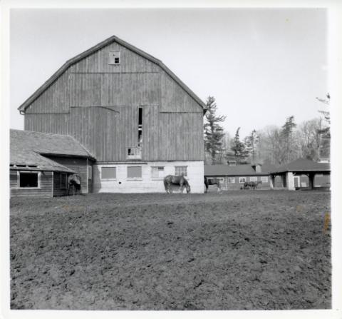 UTSC's stable with horses in front