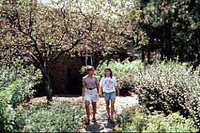 Two Women Walk along Path by Townhouse Residence Building