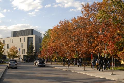 Students Walk along Path, Near Arts and Administration Building (Fall Colours)
