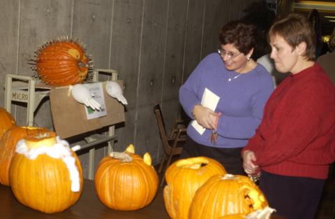 Judges look at Entry for Neurobiology of Stress, Pumpkin Carving Contest, the Meeting Place