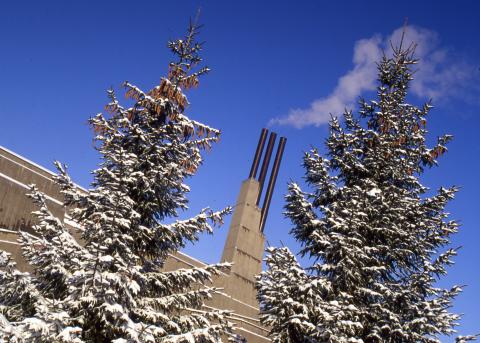 Exterior, Winter Scene, Snow Covered Pine Trees framing the Andrews Buildings
