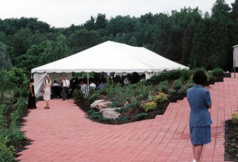 Woman on Brick Path, Looking at Marquee Tent, Patio, Miller Lash House