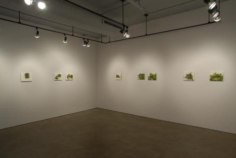 Melissa Doherty's Artwork In Gallery, Opening, Micro/Macro: Works by Robert Wiens & Melissa Doherty, Curated by Jennifer Rudde