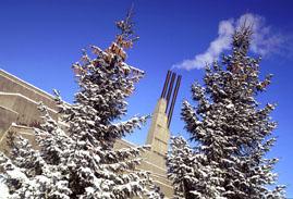 Snow covered Pine Trees and Smokestacks on Andrews Buildings