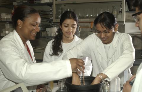 Students Working in Chemistry Lab