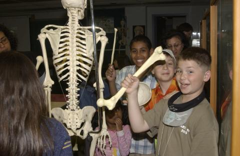 Children Doing Activity with Skeleton, Bring our Children to Work Day