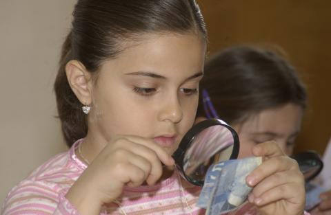 Child Examining Currency, Activity, Bring our Children to Work Day