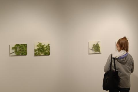 Woman Looking at Melissa Doherty's Artwork, Opening, Micro/Macro: Works by Robert Wiens & Melissa Doherty, Curated by Jennifer Rudde
