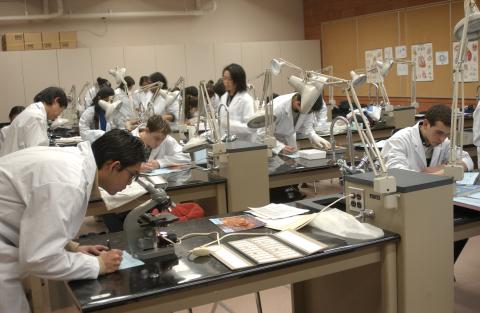 Students in Biology Lab