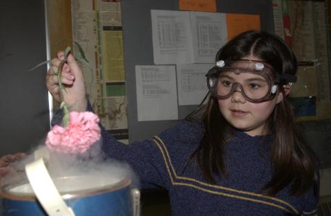 Activity with Flower and Dry Ice?, Bring our Children to Work Day