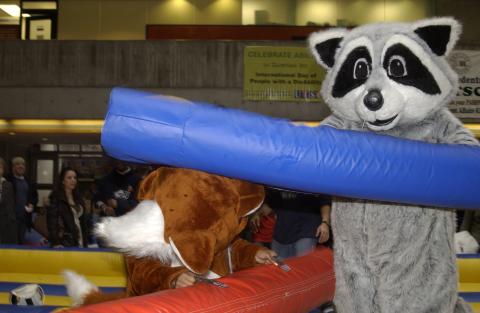 Rex the Racoon Mascot Jousts with Fusion Radio Fox Mascot, Spirit Event, the Meeting Place