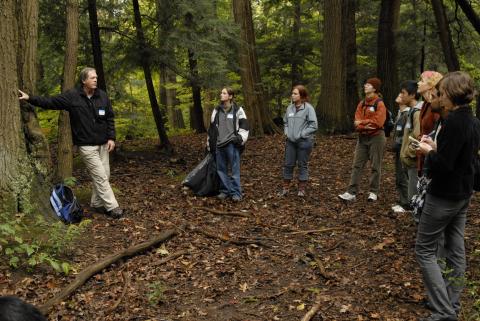 Nature Walk, Highland Creek Forest, Green Initiatives Launch Event