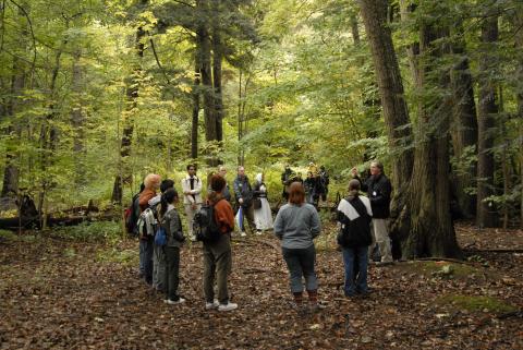 Faculty and Student Group, Nature Walk, Highland Creek Valley, Green Initiatives Launch Event