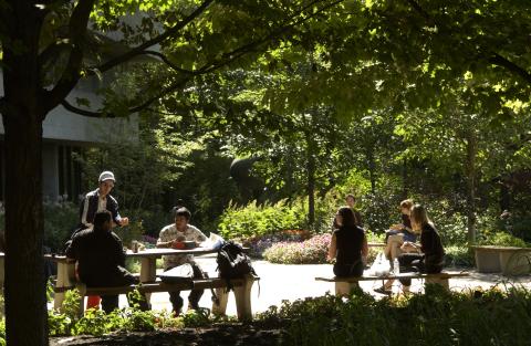 View of H-Wing Patio with Students at Picnic Tables