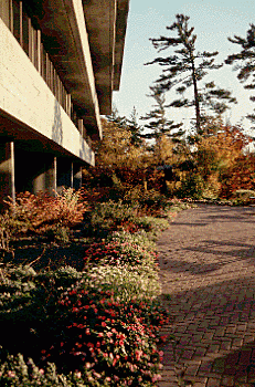 Exterior, H-Wing, Showing Patio Landscaping beside Building