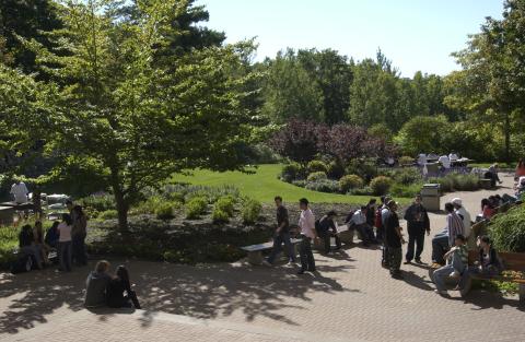 Students Outdoors, H-Wing Patio, Photograph taken from Above