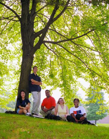 Group of Students Seated on Lawn, Under a Tree
