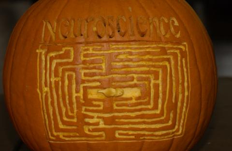 Entry, Neuroscience, Pumpkin Carving Contest, the Meeting Place