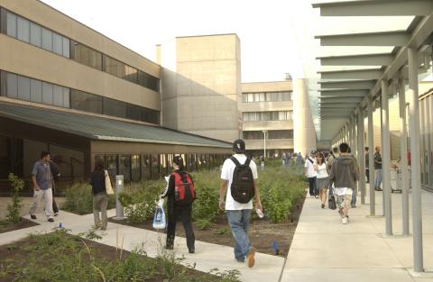 Landscaped Walkways between Bladen Wing (BW) and Arts and Administration Building (AA)