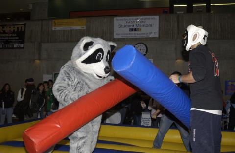 Student Jousts with Rex the Racoon Mascot, Spirit Event, the Meeting Place
