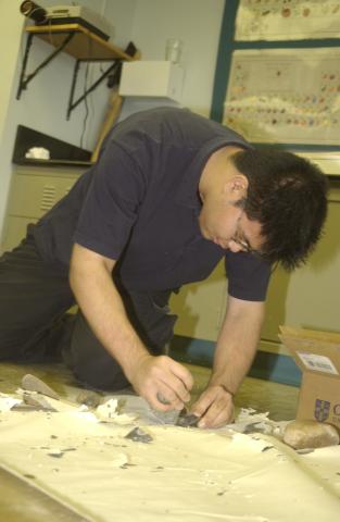 Student works with Anthropology Specimens