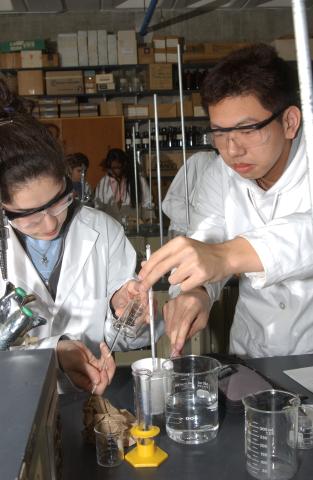 Students Using Chemistry Lab Equipment