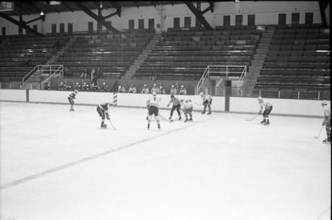 Players in Hockey Game