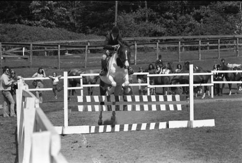 Horse and Rider Jumping Over Obstacle