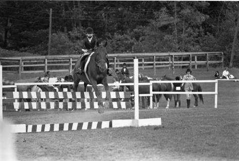 Horse and Rider Jumping Over Obstacle