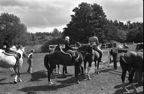 Riders on Horses Lining Up