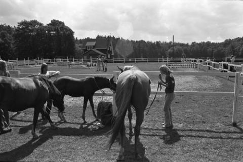 Show Workers with Horses at Horse Show