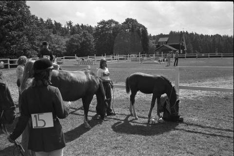 Horses in Pen with Riders