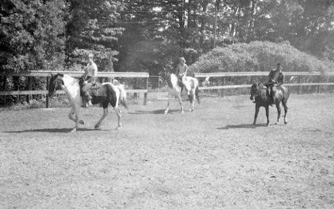 Three Students Riding Horses